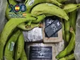 Tres detenidos en Algeciras tras hallar 240 kilos de cocaína ocultos en cajas de plátanos
