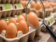 Ni camperos ni ecológicos: la OCU alerta sobre el etiquetado de los huevos en supermercados