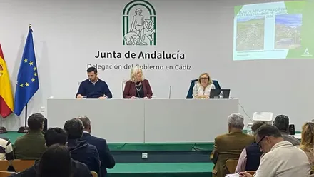 Salón de la Junta de Andalucía con Mercedes Colombo explicando las ayudas.