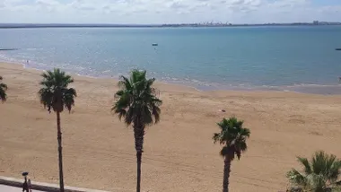 Imagen de la playa de La Cachucha, de la arena y las palmeras junto al paseo marítimo.