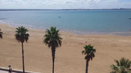 Imagen de la playa de La Cachucha, de la arena y las palmeras junto al paseo marítimo.