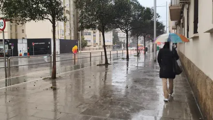Una mujer camina bajo un paraguas por la Avenida de la Sanidad Pública de Cádiz en un día gris y lluvioso, que se aprecia en las aceras y carretera mojadas