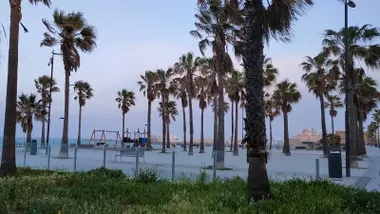Palmeras en la plaza Estrella de Cádiz bajo un cielo con algo de calima