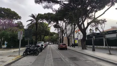 Cielo nuboso en la Cadiz Avenida Doctor Gómez Ulla con la perspectiva de los árboles a cada acera, junto al Parque Genovés de Cádiz. Foto: José Luis Porquicho Prada.