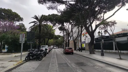 Cielo nuboso en la Cadiz Avenida Doctor Gómez Ulla con la perspectiva de los árboles a cada acera, junto al Parque Genovés de Cádiz. Foto: José Luis Porquicho Prada.