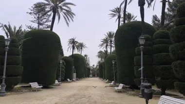 Cielo turbio por la calima este martes visto desde el paseo del Parque Genovés, en Cádiz. Foto: José Luis Porquicho Prada.