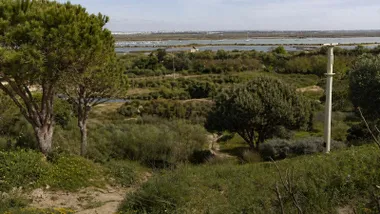 Vista del cerro de San Fernando con mucha naturaleza y caminos, al fondo el mar.