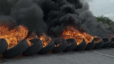 Fotograma del documental 'Hormigas perplejas' Foto: YouTube.