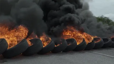 Fotograma del documental 'Hormigas perplejas' Foto: YouTube.