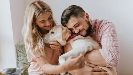Hombre y mujer abrazando a un perro labrador color blanco.