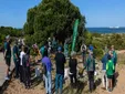 Quince islas verdes para salvar el Pinar de Sancti Petri: este es el plan de recuperación