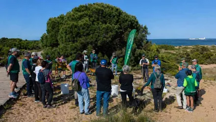 Personas que participaron en las tareas de replantación del pinar de Sancti Petri.