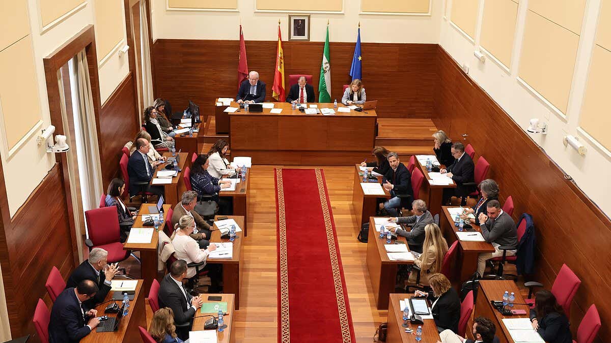 Reunión en el salón de plenos del Ayuntamiento de Chiclana.