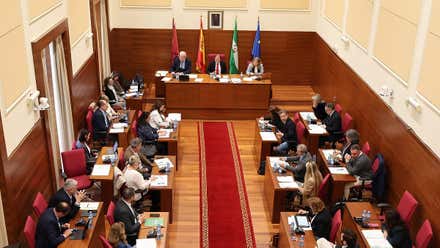 Reunión en el salón de plenos del Ayuntamiento de Chiclana.