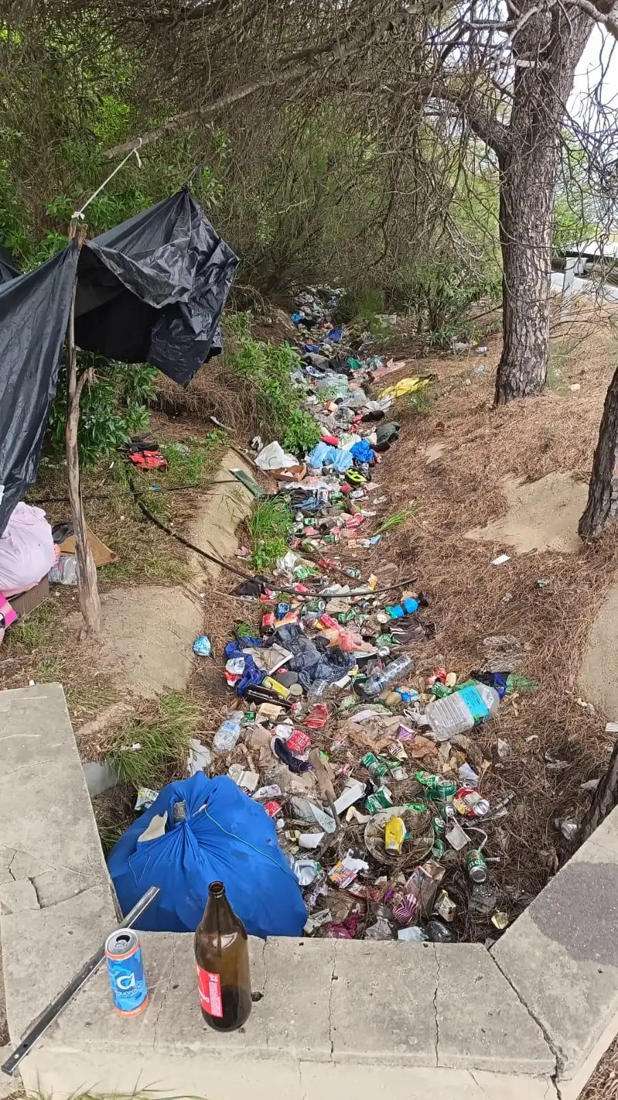 Imagen de la zona limpiada en Huelva por el grupo de Quique Bolsitas.