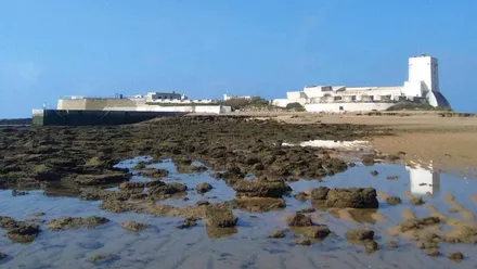 Playa y castillo de Sancti Petri con su característico color blanco.