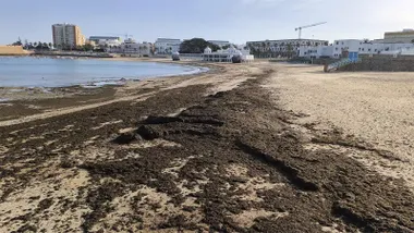 La playa de La Caleta, en Cádiz, cubierta parcialmente por algas acumuladas en la orilla. Al fondo se distinguen el histórico Balneario de Nuestra Señora de la Palma y la nueva torre de vigilancia instalada en la arena.