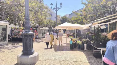 La plaza de las Flores será uno de los puntos de este itinerario. Foto: José Luis Porquicho Prada.