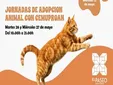 Los perros y gatos que buscan hogar salen esta semana del Cemuproan en El Puerto