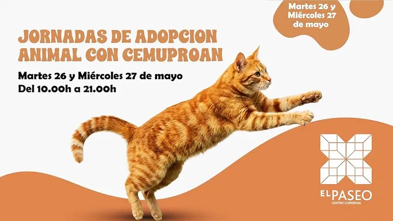 Cartel de Cemuproan donde se puede ver un gato anaranjado.