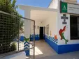 Las familias de estos colegios rurales de Conil esperan respuestas mientras el conflicto llega al Parlamento