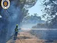 Un fuego junto a la AP-4, en Puerto Real, provoca largas retenciones y moviliza a bomberos de Cádiz y Jerez
