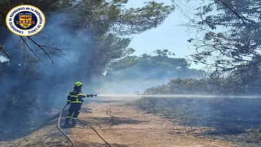 Bombero con una manguera apagando el incendio entre matorrales.