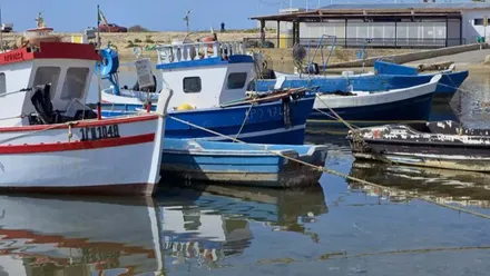 Atracados en el muelle diferentes barcas y barcos pesqueros en vistosos colores blancos y azules.
