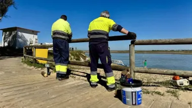 Dos trabajadores colocando una valla de madera en una playa de San Fernando.