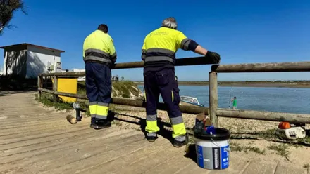 Dos trabajadores colocando una valla de madera en una playa de San Fernando.