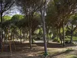 Aviso del Ayuntamiento de Chiclana por un gran despliegue de emergencias en La Barrosa