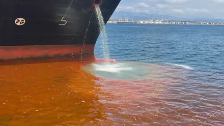 Aceite de palma en aguas de Algeciras junto al carguero.