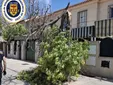 El viento obliga a los bomberos de Jerez a realizar 15 intervenciones en un solo día
