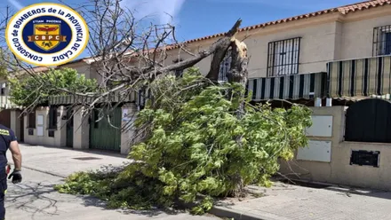 Un árbol roto en la calle siendo retirado por los bomberos.