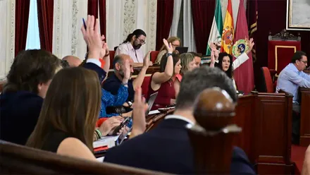 La propuesta del PP ha salido adelante por unanimidad. Foto: Eulogio Garcia.