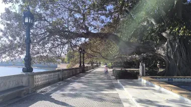 La Alameda en este día soledado. Foto: José Luis Porquicho Prada.