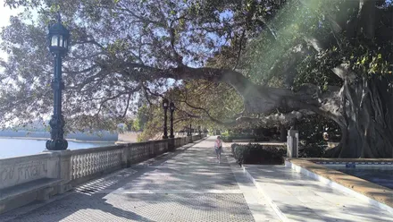 La Alameda en este día soledado. Foto: José Luis Porquicho Prada.