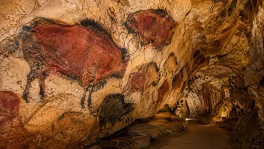 Bisonte pintado en la pared de una cueva.