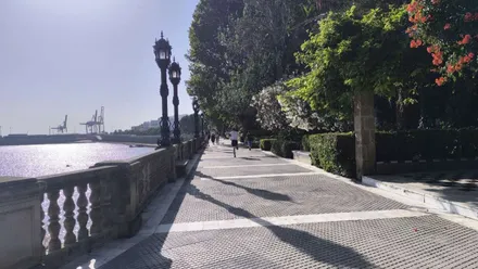 El sol seguirá luciendo en el cielo de Cádiz, aunque con presencia de calima que puede darle un toque algo más blanquecino. Foto: José Luis Porquicho Prada.