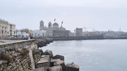 Cádiz se va a librar de esta ola de calor, aunque no de la calima, que se puede apreciar en esta imagen del Campo del Sur. Foto: José Luis Porquicho Prada.