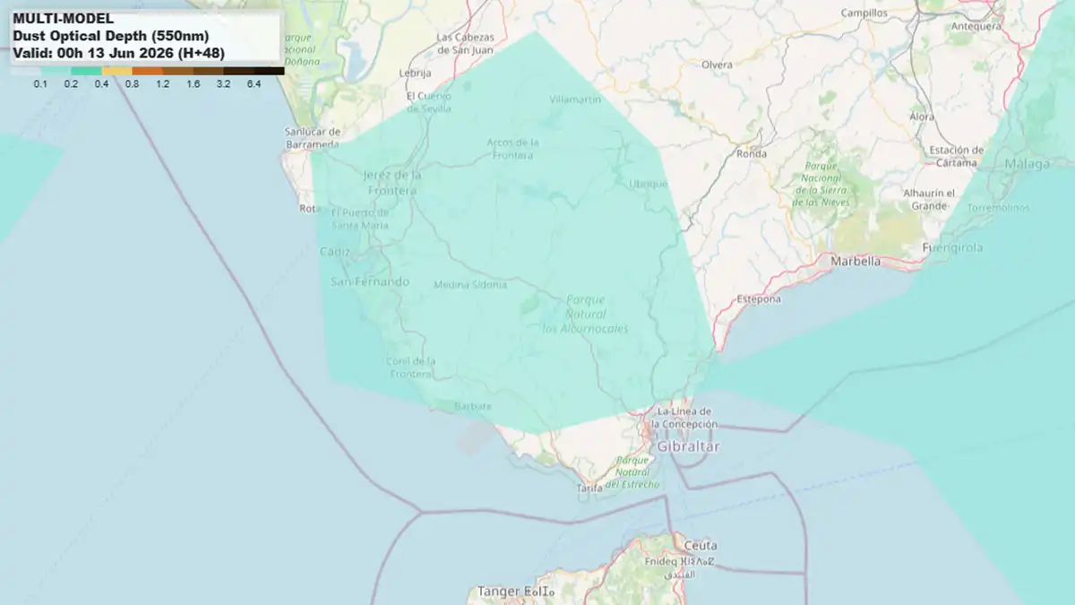 Malos tiempos para quienes sufren alergia en Cádiz: el polen se dispara y vuelve la calima
