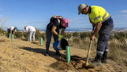 Personas replantando árboles en el Parque Natural de Las Canteras, en Puerto Real.