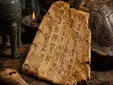 La escritura más antigua de China apareció en caparazones de tortuga y aún guarda enigmas