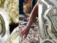 Estero Natural y Fundación Unicaja presentan un proyecto pionero para recuperar las salinas de la Bahía de Cádiz
