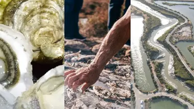 Collage con varias imágenes de los esteros, desde moluscos, trabajo de unas manos o las salinas.