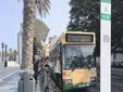 El PSOE acusa al Ayuntamiento de volver a dividir Cádiz entre barrios de primera y de segunda con el refuerzo de verano de los autobuses