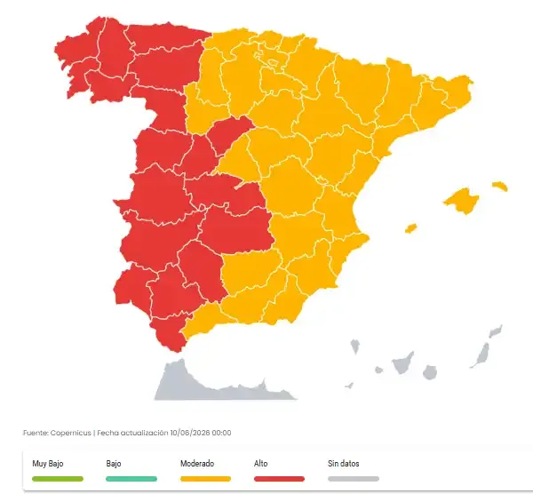 Malos tiempos para quienes sufren alergia en Cádiz: el polen se dispara y vuelve la calima