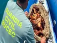 Intentan deshacerse de unos pepinos de mar arrojándolos al agua al ver a la Guardia Civil