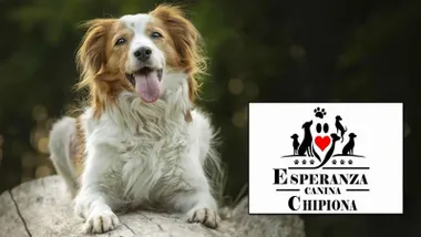 Perrito junto al logotipo de "Esperanza Canina".