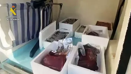 Cajas blancas de pescado intervenidas en una furgoneta por la Guardia Civil.